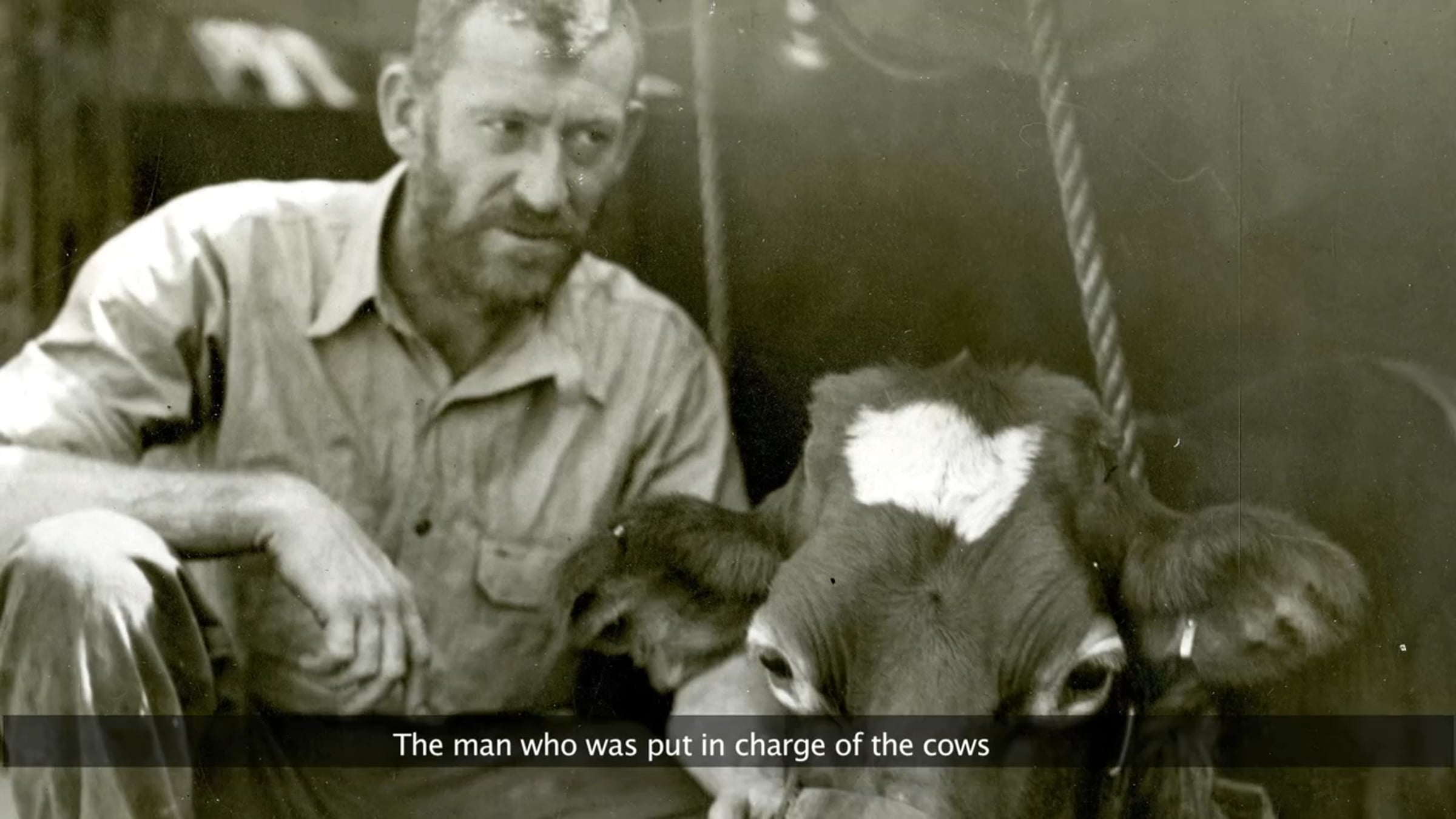 The cow keeper beside one of his charges, pictured on the Byrd Center film’s cover.