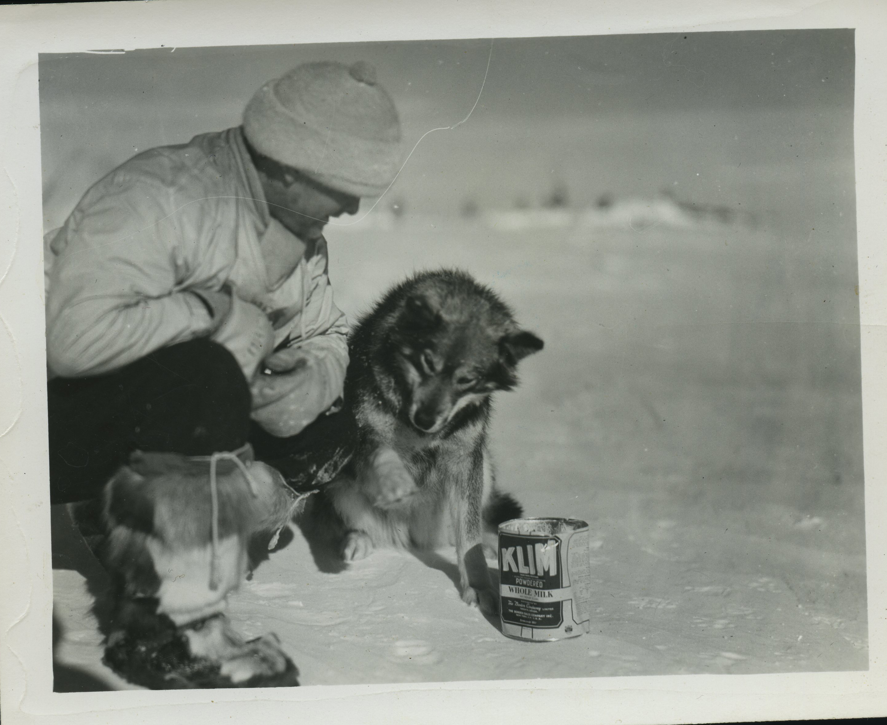 A real dog from Byrd’s expedition, with a member of the crew. The archive does not identify this dog as Jimmy.