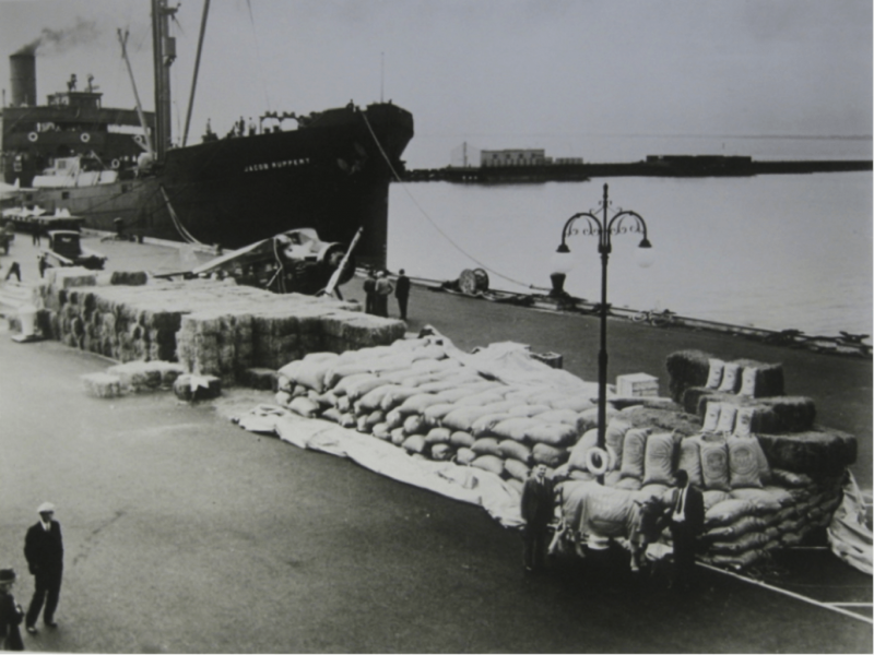 Klondike beside supplies on the dock in Norfolk, Virginia.