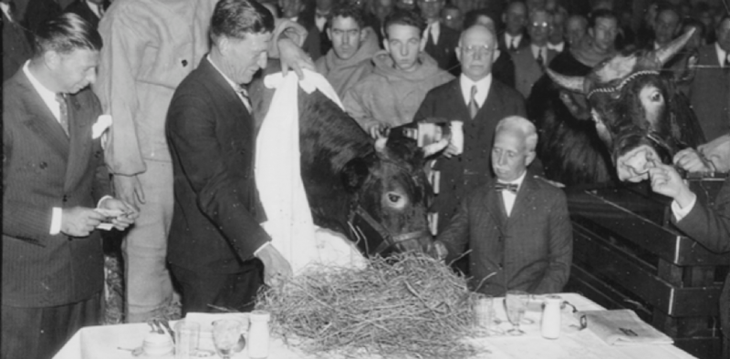Southern Girl and Iceberg at the Commodore Hotel in New York after returning home.